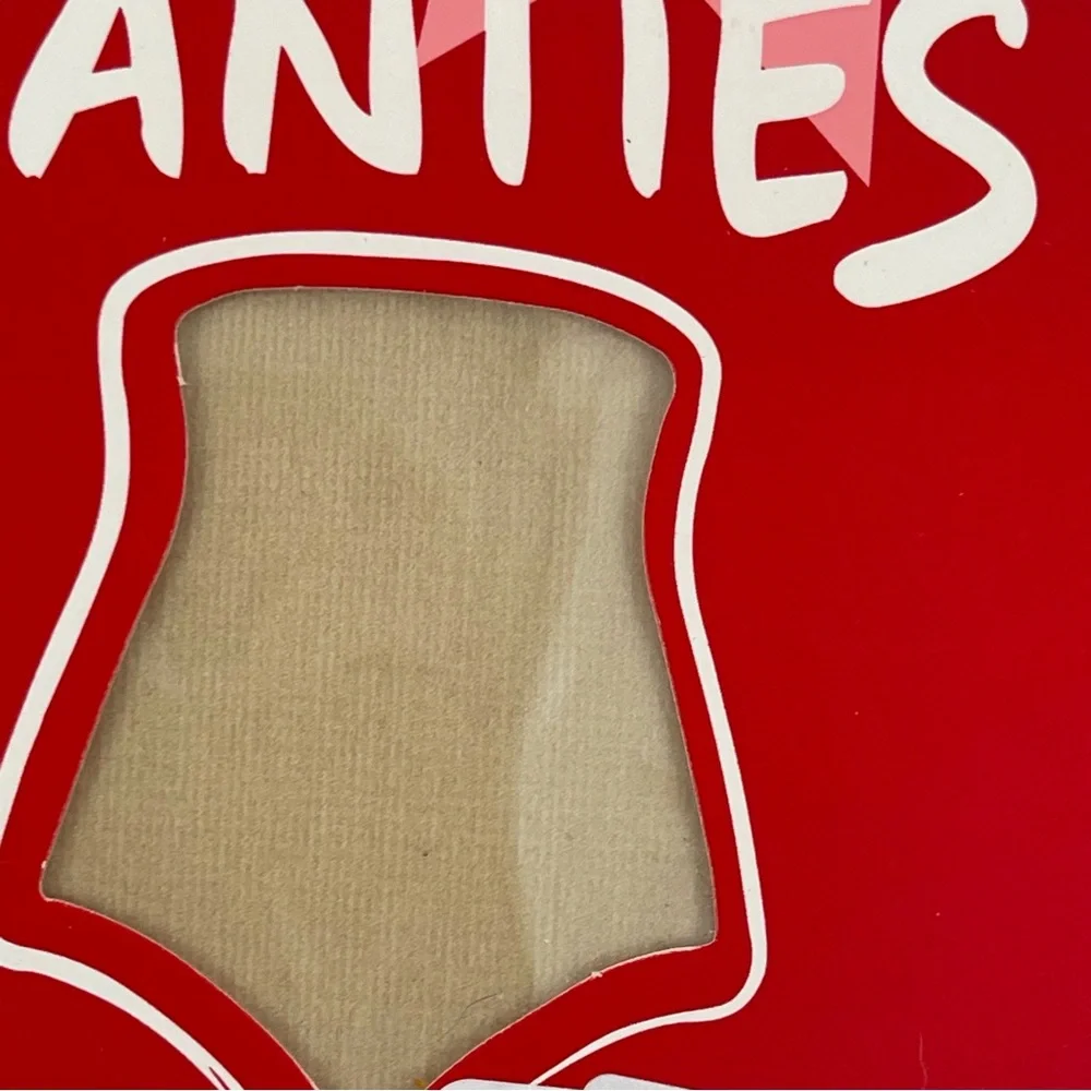Spanx Higher Power Panties High Waisted Shaper Brief Size‎ Large NEW